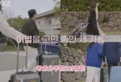 韩国综艺现场吃瓜,一场惊心动魄的“吃瓜”盛宴