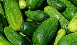 教我制作可以吃瓜,教你制作美味可口的夏日吃瓜指南