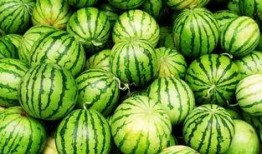 所有的瓜都是怎么吃,探索各式瓜果的独特食用方式