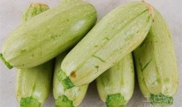 瓜吃的什么功效,揭秘不同瓜类带来的神奇功效