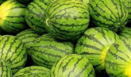 西瓜特效吃瓜bgm,畅享夏日清凉音乐盛宴