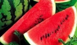 所有的瓜都是怎么吃,探索各式瓜果的独特食用方式