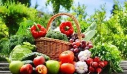 天津职高吃瓜,揭秘校园里的网络热议风波