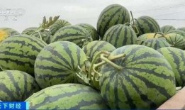 荷香悠悠吃瓜视频