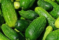 梦到吃挺甜的瓜,揭秘梦境中的甜蜜寓意