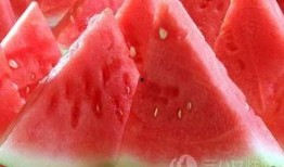 血糖高可以吃脆瓜吗