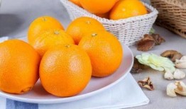 吃瓜的傻橙,吃瓜群众傻橙的趣味生活点滴