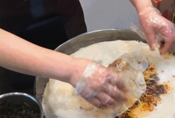 吃瓜吃饼观众是谁啊