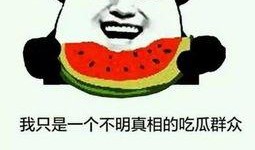 吃瓜群众姐,吃瓜群众视角下的娱乐圈风云录