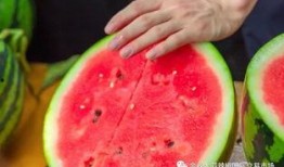 广东学院吃瓜,吃瓜群众的热议焦点