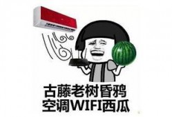 瓜娃子没有瓜吃争取明年吃西瓜,奋斗在希望的田野上