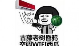 瓜娃子没有瓜吃争取明年吃西瓜,奋斗在希望的田野上