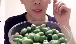 做梦吃小瓜好吗,揭秘吃小瓜的奇幻之旅