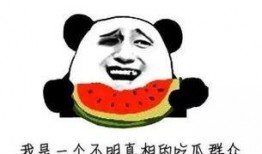 吃瓜付费怎么说,揭秘网络时代的新潮流