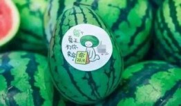 吃瓜走江湖,揭秘娱乐圈背后的故事与真相