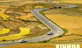 贵阳高坡 吃瓜,瓜田里的田园诗篇