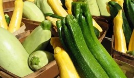 渔小圈吃瓜,揭秘娱乐圈那些不为人知的幕后故事