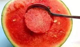 吃瓜不破瓜,揭秘瓜类美食的神奇魅力