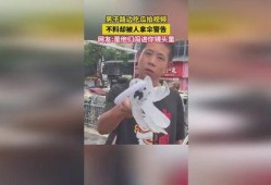 路边睡觉吃瓜视频,路人夜宿路边，悠闲吃瓜成风景