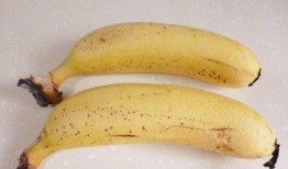 长瓜和香蕉能一起吃吗,长瓜与香蕉同食的兼容性探讨