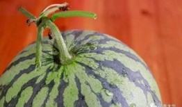 花大姐吃瓜,揭秘娱乐圈背后的秘密