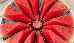 吃瓜大赛横版,一场视觉盛宴的狂欢之旅