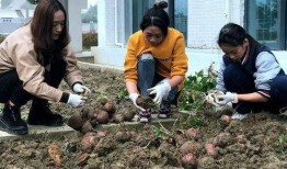 奉节老师 吃瓜事件