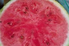 濮阳医院吃瓜,揭秘背后真相与争议