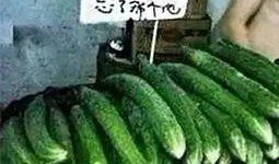 吃瓜金句,笑料百出，揭秘娱乐圈幕后真相