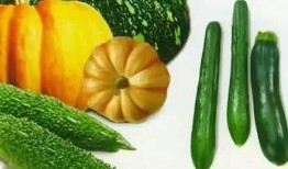 岳西吃瓜现场,揭秘当地特色美食背后的故事