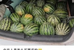 来上海吃瓜,来沪必尝的“吃瓜”攻略