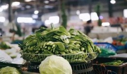 常熟谢桥吃瓜,探寻吃瓜文化的独特魅力