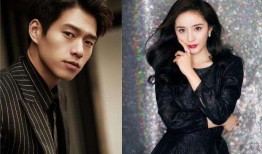 明星最新吃瓜消息