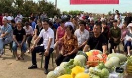 吃瓜群众大营门街道,吃瓜群众热议的社区风采