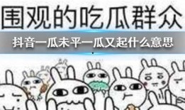 2024吃瓜抖音,揭秘热门事件背后的真相