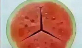 真有钱吃瓜都吃奔驰的