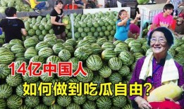 为吃瓜留学中国,揭秘留学生活背后的酸甜苦辣