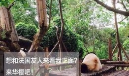 吃瓜群众的陪葬者,吃瓜群众的陪葬者背后的故事