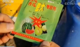 瓜农今日吃瓜app,揭秘瓜农生活，共享欢乐时光