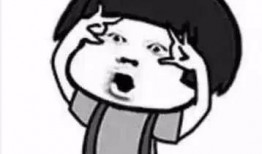 吃瓜群众 怕过谁,无畏无畏，谁敢挑战我