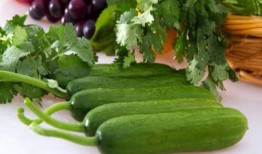 吃瓜爱客,揭秘娱乐圈背后的故事与真相