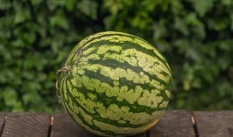 吃瓜安心,揭秘娱乐圈幕后真相，带你走进明星真实生活