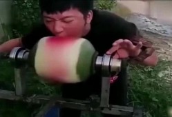 吃瓜开挂的人,揭秘人生精彩瞬间