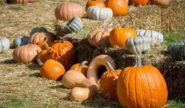 首山吃瓜,揭秘娱乐圈幕后风云