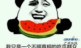 吃瓜群众何意,揭秘“吃瓜群众”背后的网络现象与社会心态