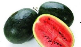 郯城的瓜在哪吃,品味当地特色美食之旅