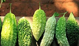 吃绞瓜种子作用,天然健康食品的神奇功效揭秘