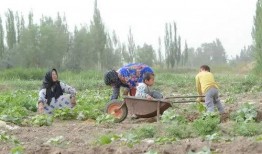 吃瓜群众羊场坝