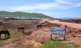 内蒙海拉尔吃瓜,瓜果飘香，夏日消暑新风尚