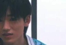 野良轩吃瓜,揭秘娱乐圈背后的秘密与八卦